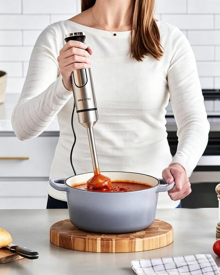 Immersion Blender Handheld