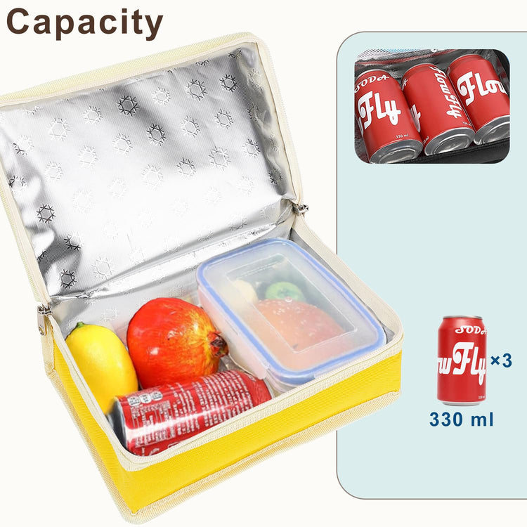 Small Insulated Lunch box Portable Soft Bag Mini Cooler Thermal Meal Tote Kit with Handle for Work & School