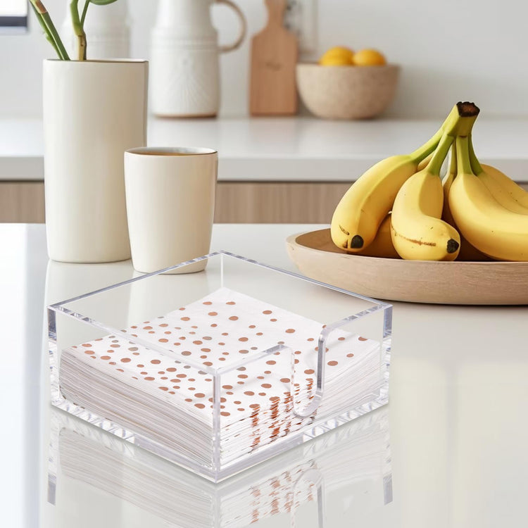 2 Pack Napkin Holder