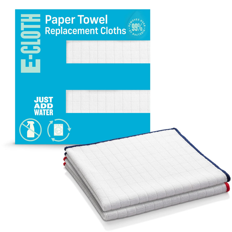 Wash & Wipe Dish Cloth