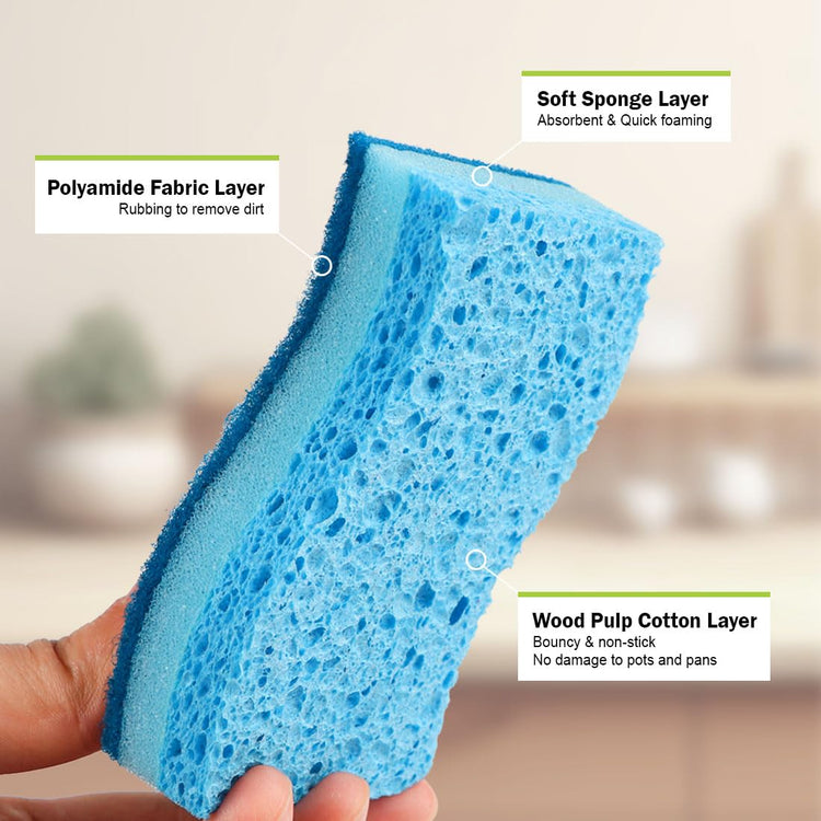 Sponges Kitchen (6 Count)