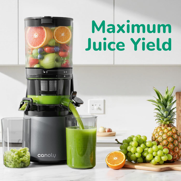 3-in-1 Cold Press Juicer C16, Makes Juice & Sorbet & Nut Milk