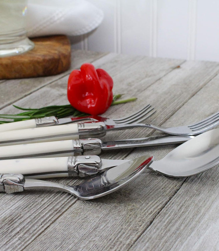 Laguiole 20 Piece Stainless Steel Flatware Set