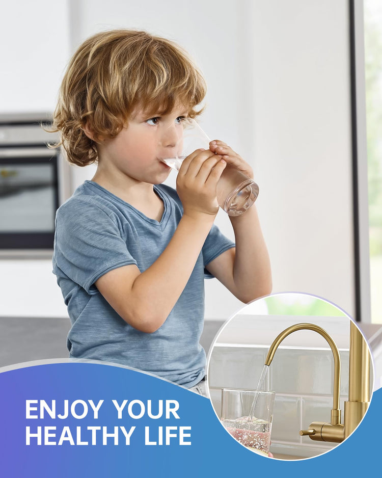 3 Way Kitchen Faucets with Sprayer and Water Filter Brushed Gold