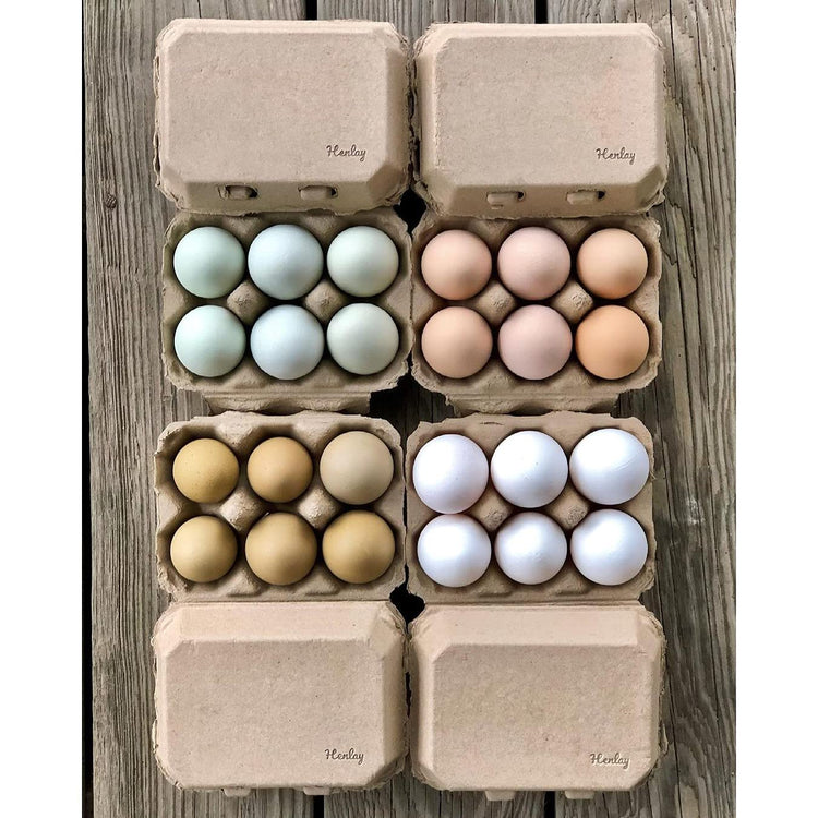 Half Dozen Blank Egg Cartons (100 Count)