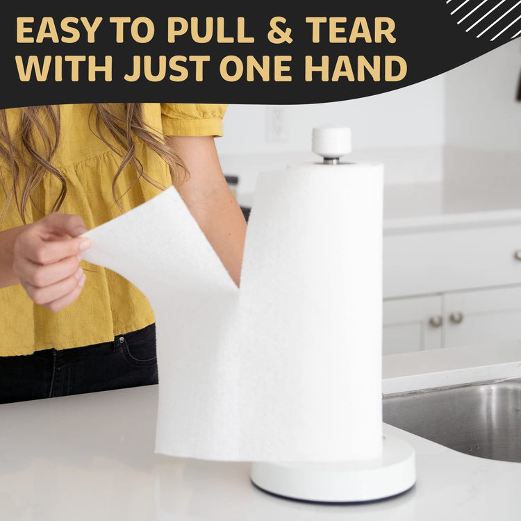 Heavy Duty Stainless Steel Paper Towel Holder