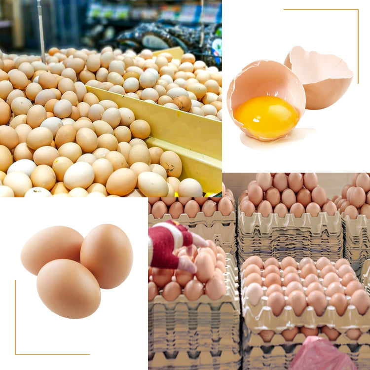 20 Flats 30 Cell Egg Crate?Holds 30 Eggs? (73.6 Ounce)