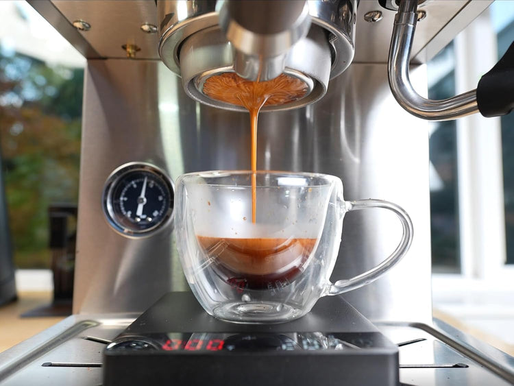 Apex Espresso Machine, Brushed Stainless Steel