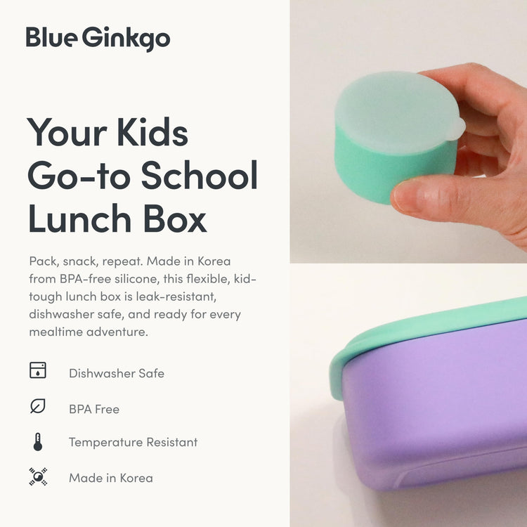 Bento Style Silicone Lunch Box Set