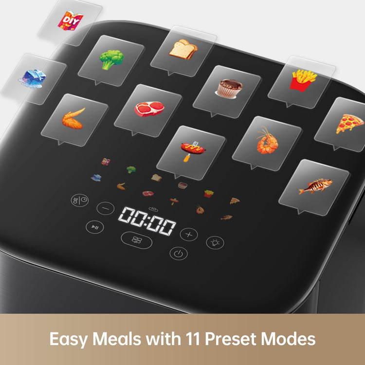 FD10Pro Air Fryer
