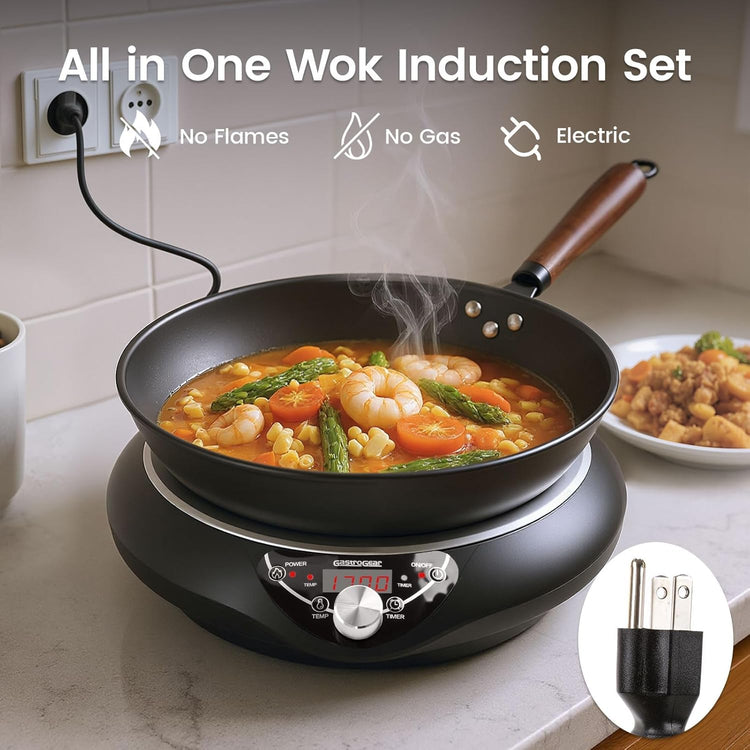 Induction Wok Cooktop, Induction Burner & Carbon Steel Wok with Lid, Rack, 16 Levels Power & Temprature Control, 18 Hours Timer, Auto-off Electric Wok 1700W (Black 110V~120V)