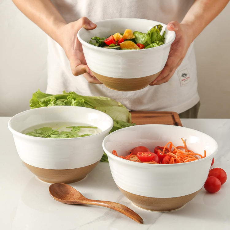 Large Ceramic Soup Bowls Set of 4 (4 Count)