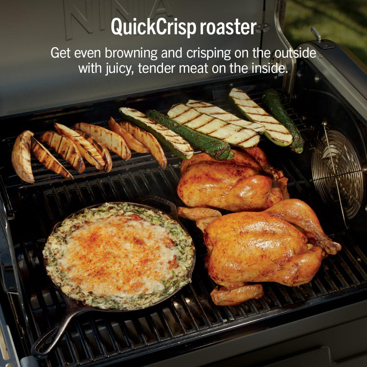 FlexFlame Grill & Smoker