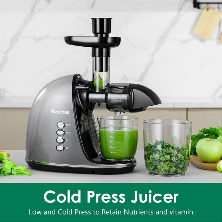 Slow Masticating Juicer
