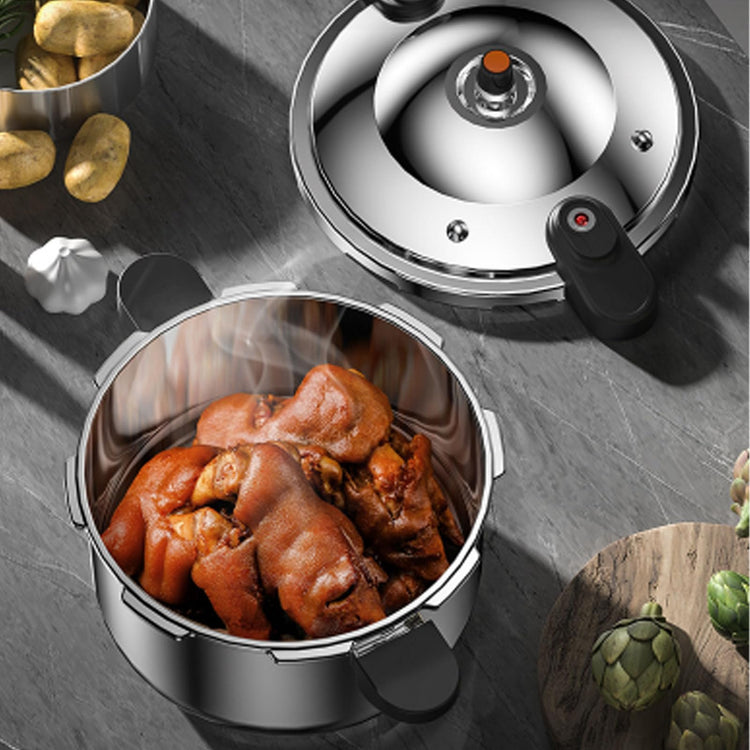 Stainless Steel Pressure Cooker
