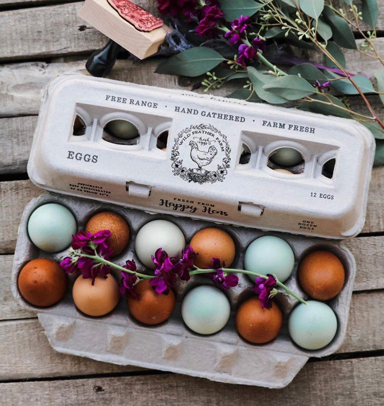 Egg Cartons Adorable Printed Design for Farm Fresh Eggs (25 Count)