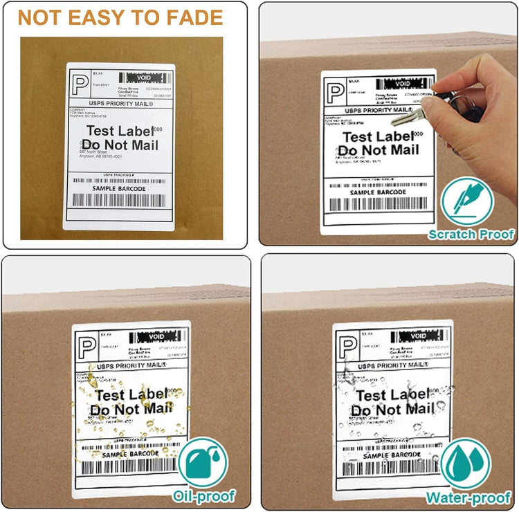 FungLam 4x6 Thermal Labels - 1000 Labels, 4 Rolls Direct Thermal Printer Label, Shipping Labels Compatible with Zebra, Rollo and Most Thermal Printer, Perforated Postage Label Paper, 250 Labels/Roll