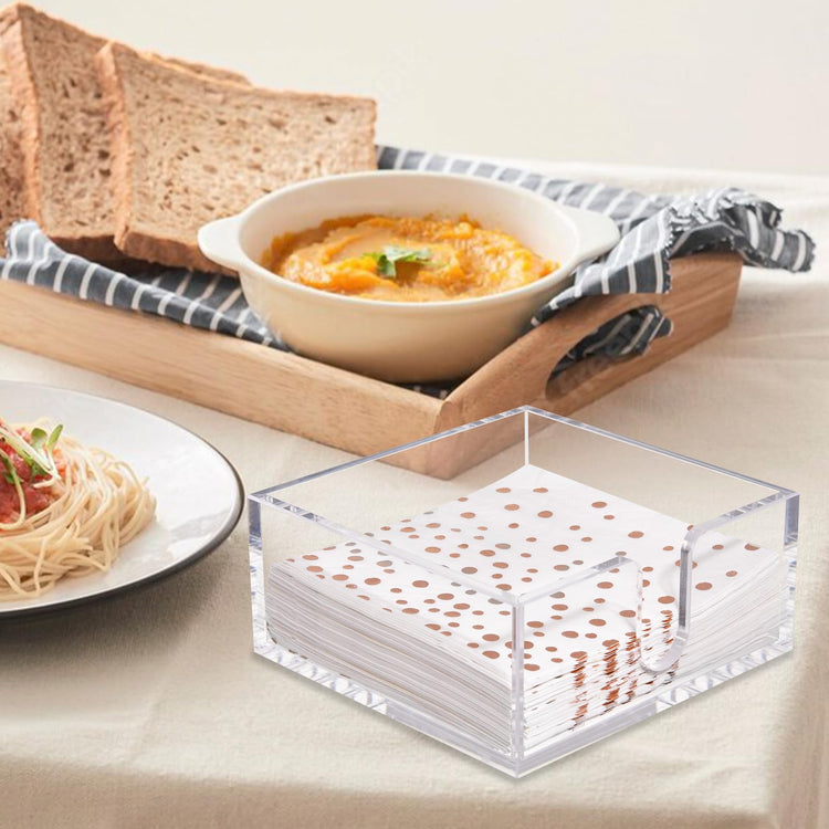 2 Pack Napkin Holder