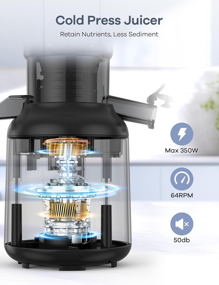 Ganiza Juicer Machines, Cold Press Juicer with 4.3" Large Feed Chute for Whole Fruits & Vegetables, Slow Masticating juicers with 3 Replace Filters for Batch Juicing, Easy to Clean, BPA Free (Black)