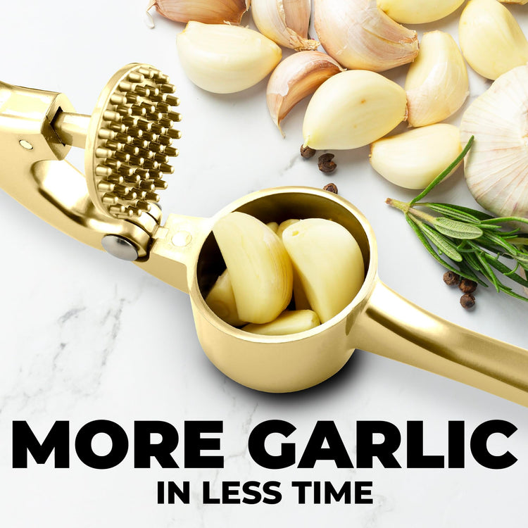 Large Premium Garlic Press Set