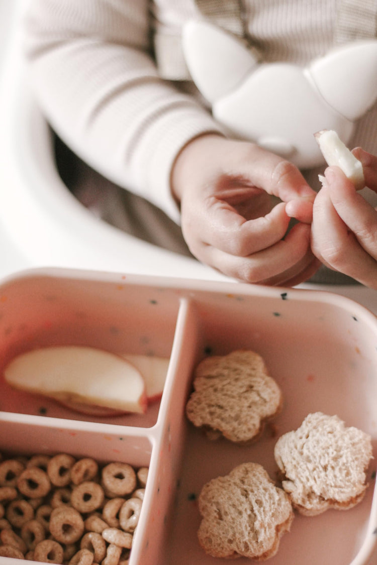 Kids Bento Box