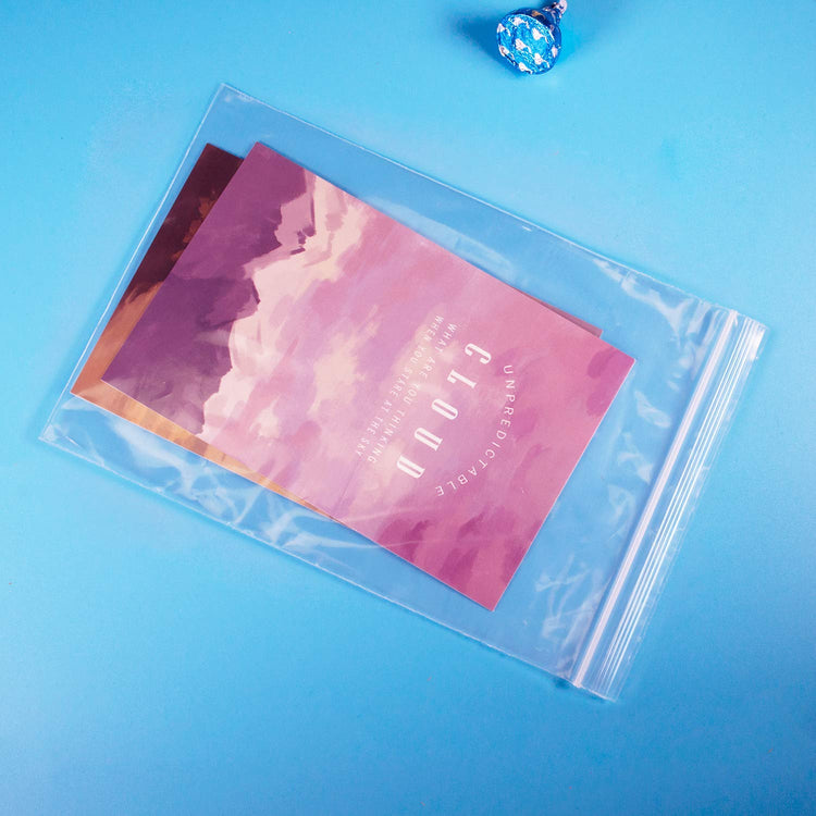 1000 Count 8" x 10" Zip Bags