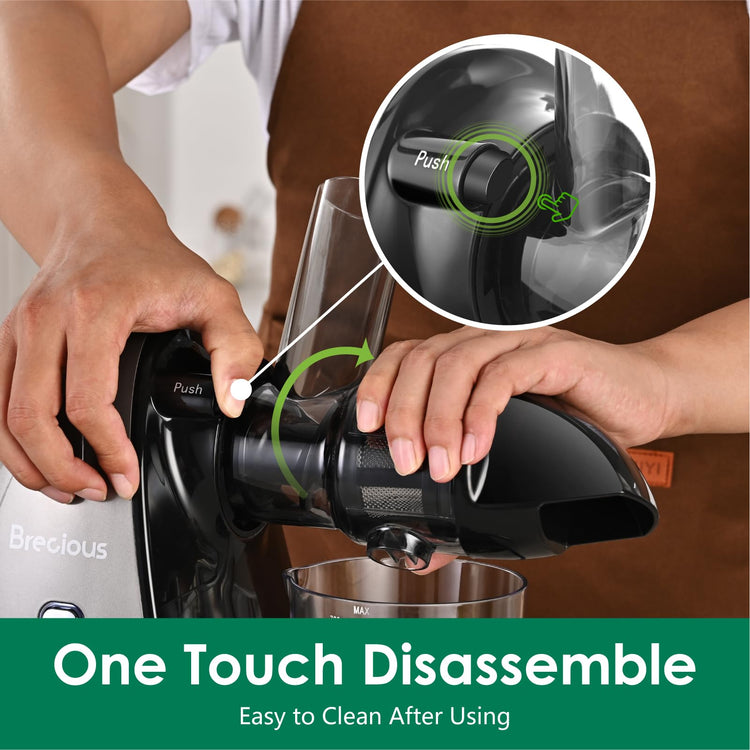 Slow Masticating Juicer