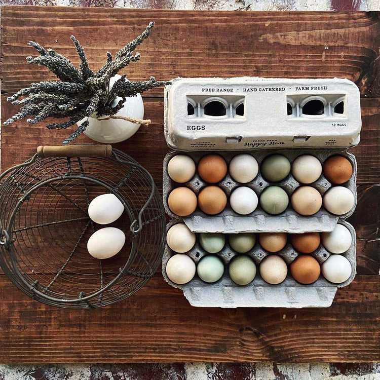Egg Cartons Adorable Printed Design for Farm Fresh Eggs (25 Count)