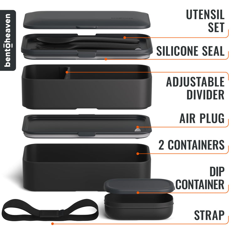Bento Box Adult