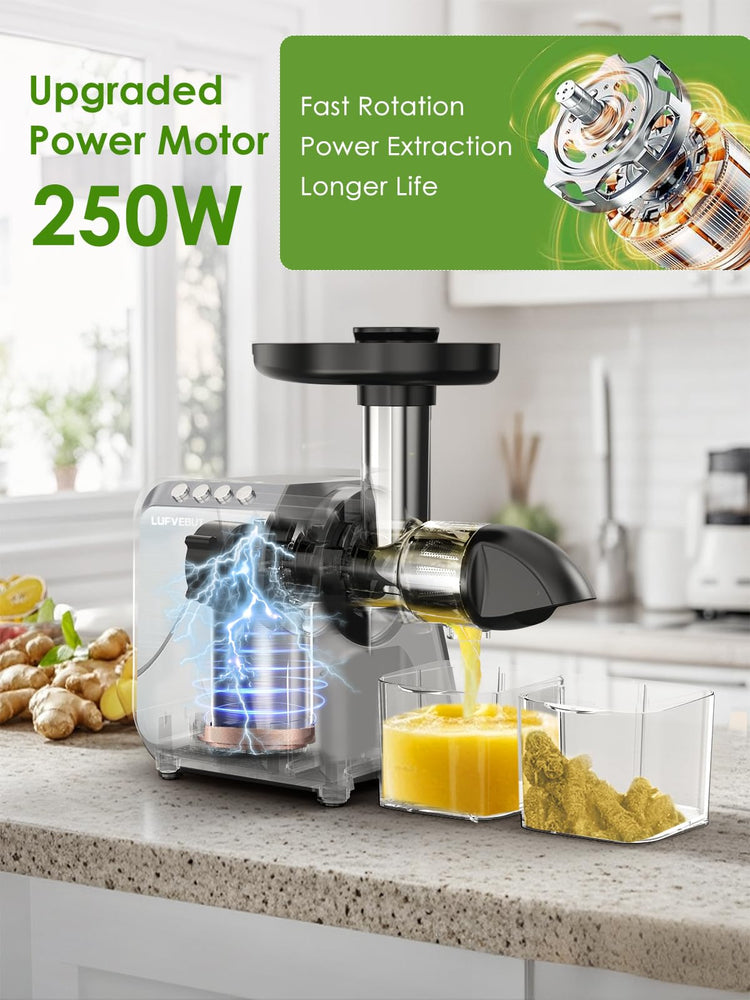 Cold Press Juicer for Celery Carrot Orange