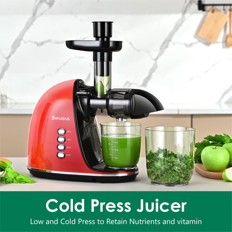 Slow Masticating Juicer