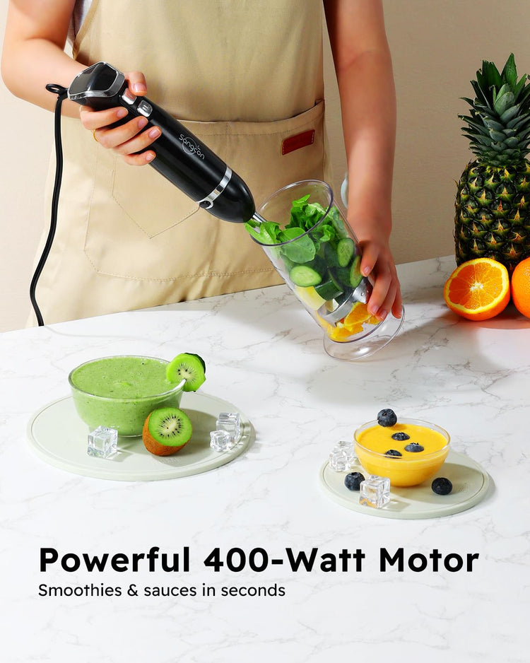 Immersion Blender Handheld