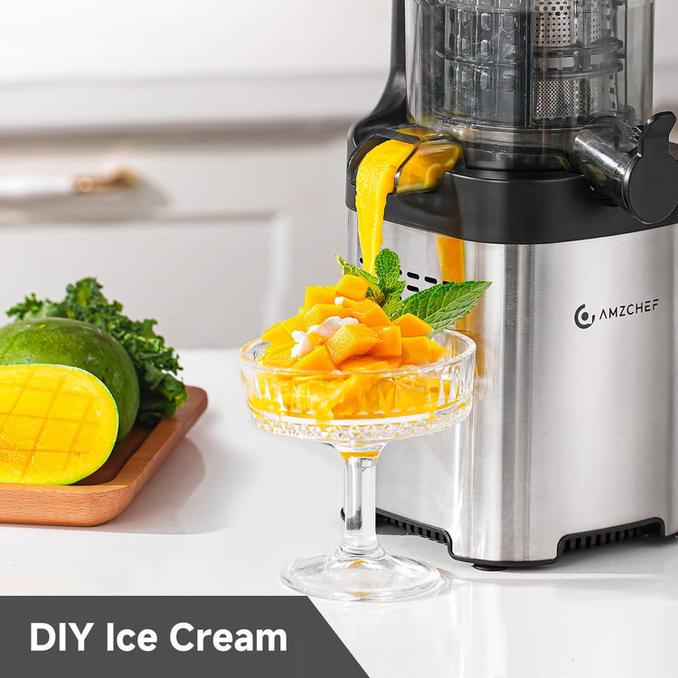 Cold Press Juicer
