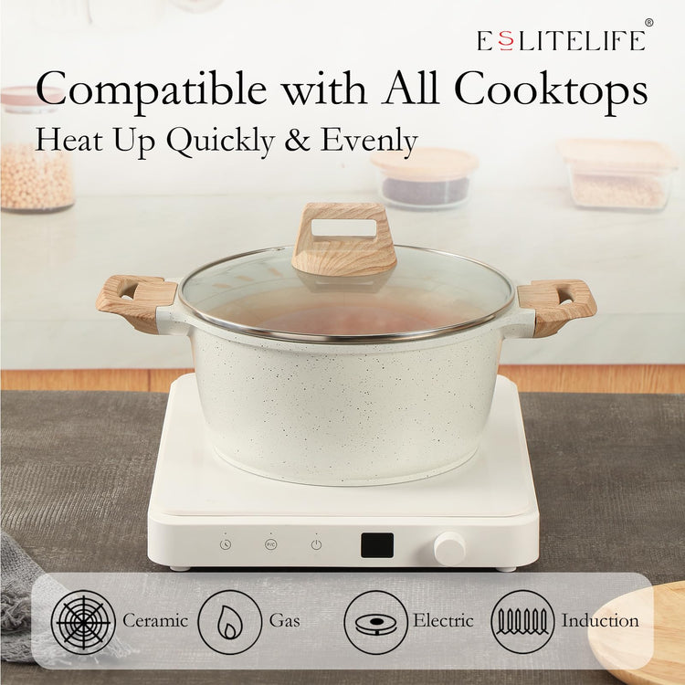 Nonstick Stock Pot with Lid