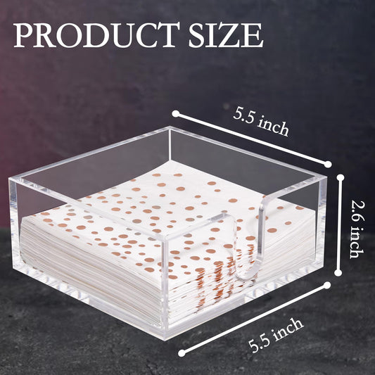 2 Pack Napkin Holder