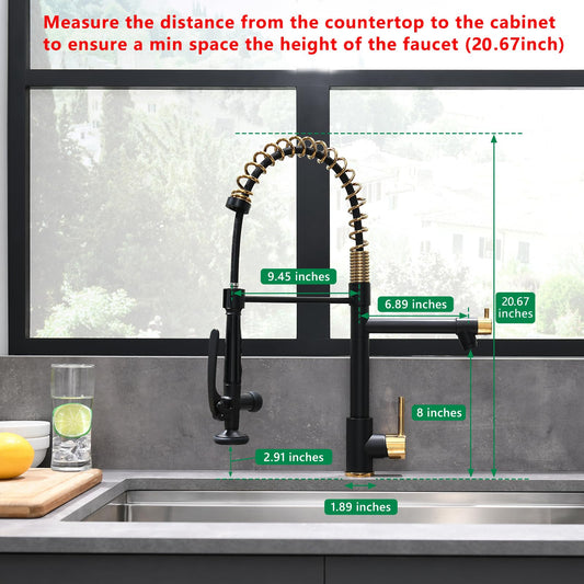 Black&Gold Kitchen Faucet with Sprayer