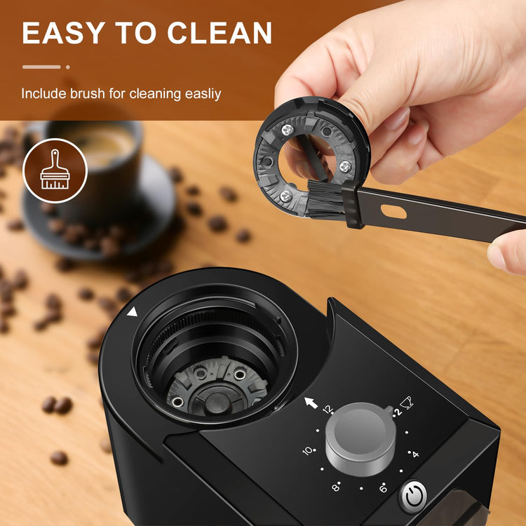 Electric Burr Coffee Grinder