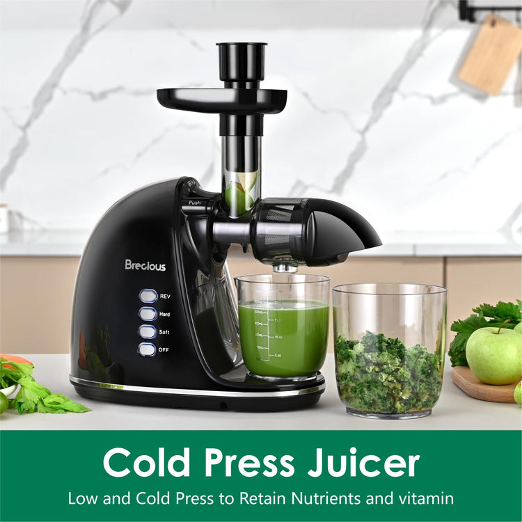 Slow Masticating Juicer