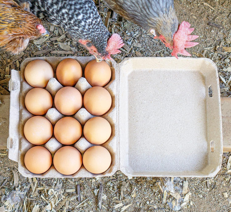 Egg Cartons 3x4 Style 25 Pack, Blank Natural Paper Pulp Square Egg Cartons Eggs, Holds Up to One Twelve 12 Count Chicken Eggs, Sturdy Design Made from Recycled Cardboard.…