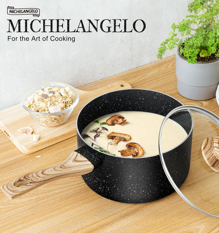 3 Quart Saucepan with Lid