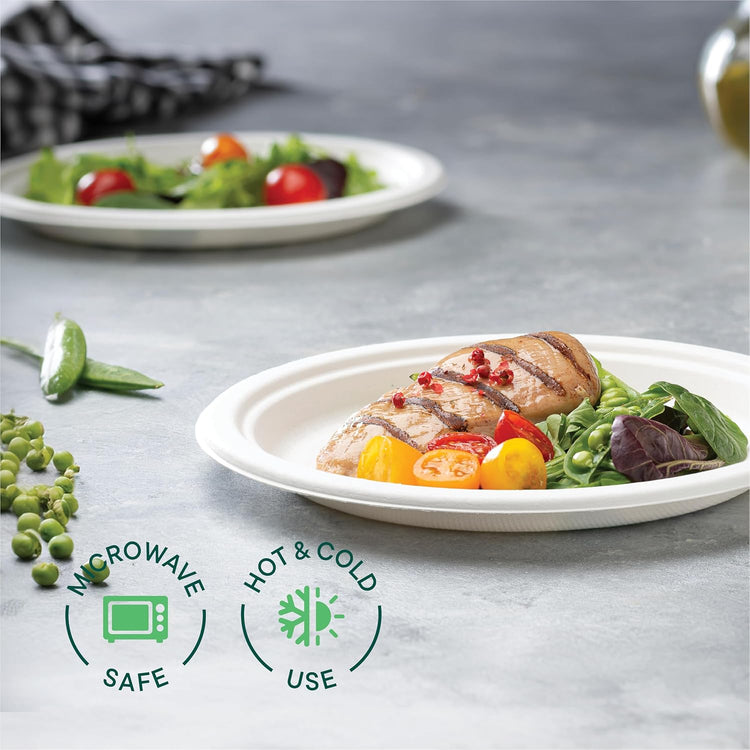 100% Compostable Paper Plates 9 Inch [500 Count] Heavy-Duty Dinner Plates - Natural White Color Unbleached Bagasse - Eco-Friendly Disposable Biodegradable Sugarcane Plates - [Bulk Case 4/125 Pack]