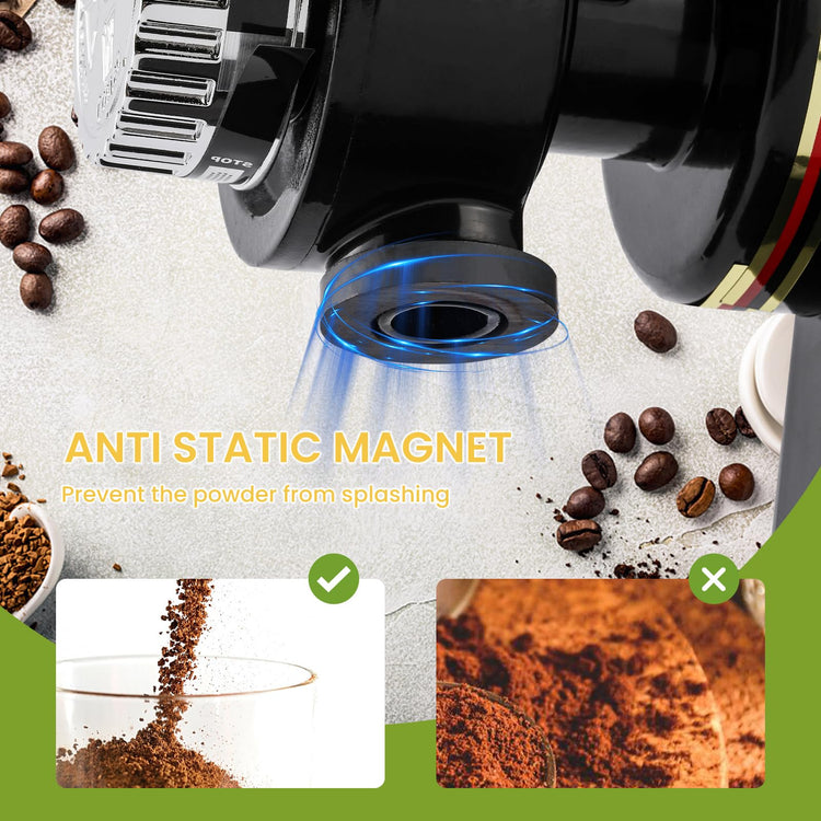 Electric Burr Coffee Grinder
