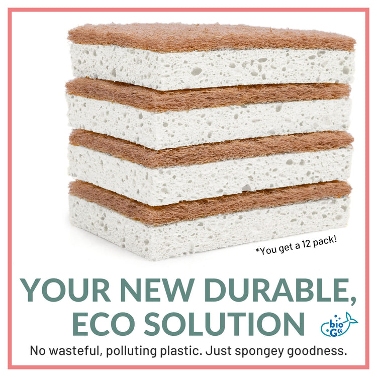 White 12 Pack Biodegradable Kitchen Sponge (12 Count)