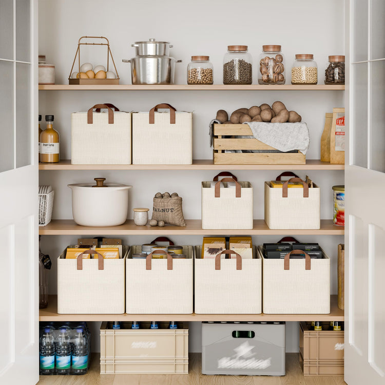 Closet Storage Bins (2 Count)
