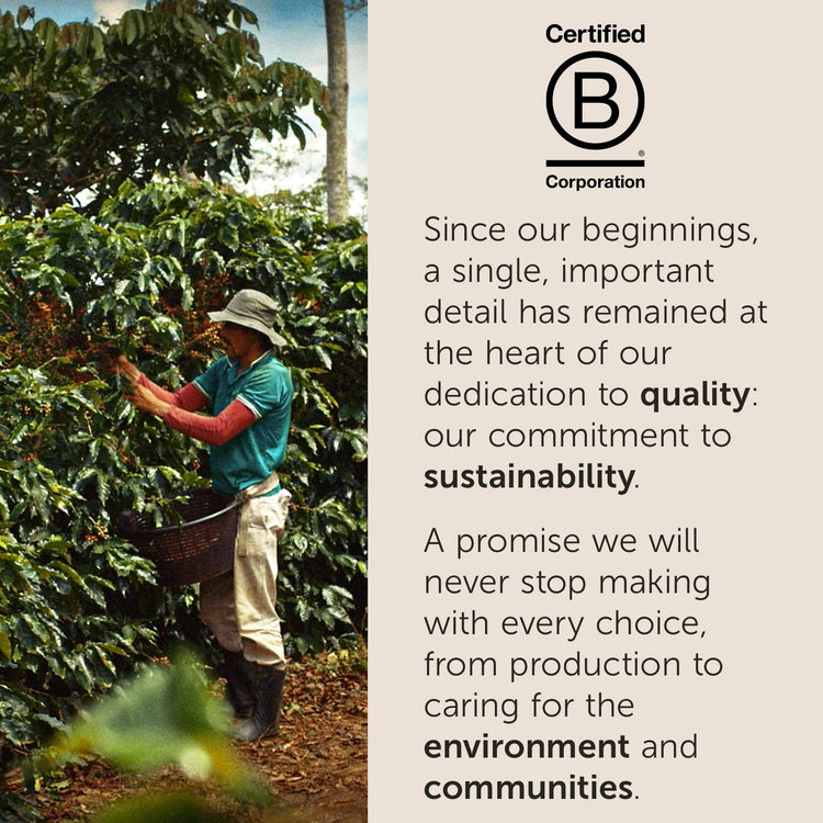 Classico Whole Bean Coffee (8.8 Ounce)