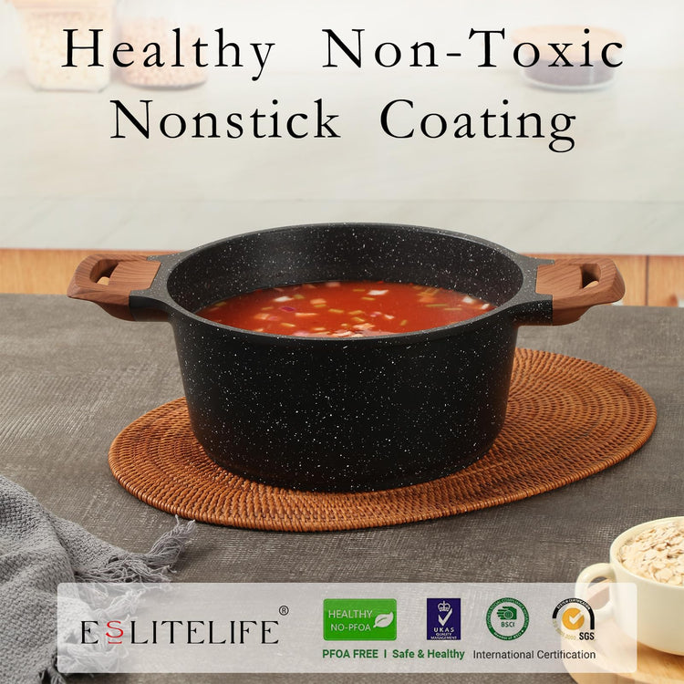 Nonstick Stock Pot with Lid