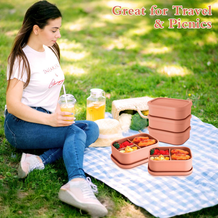 4 Pcs Silicone Bento Box (4 Count)