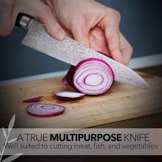 Kagayaki Japanese Chef’s Knife, KGRP-3 Professional Gyuto Knife, Polished Patterned Damascus Stainless Steel with Ergonomic Black Pakka Wood Handle, 8.2 inch