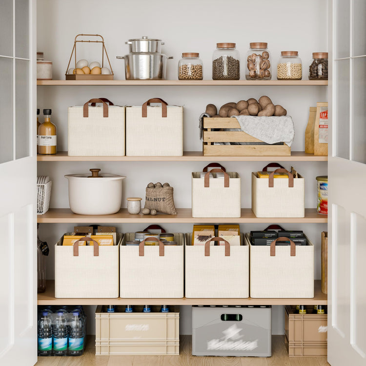 45L Closet Storage Bins (2 Count)