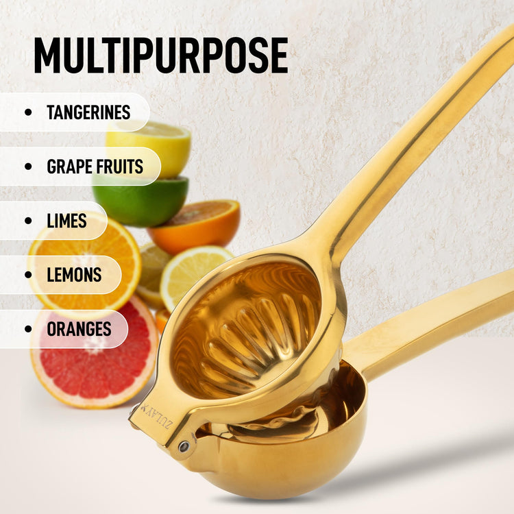 Lemon Squeezer Stainless Steel